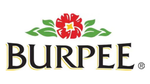 Burpee